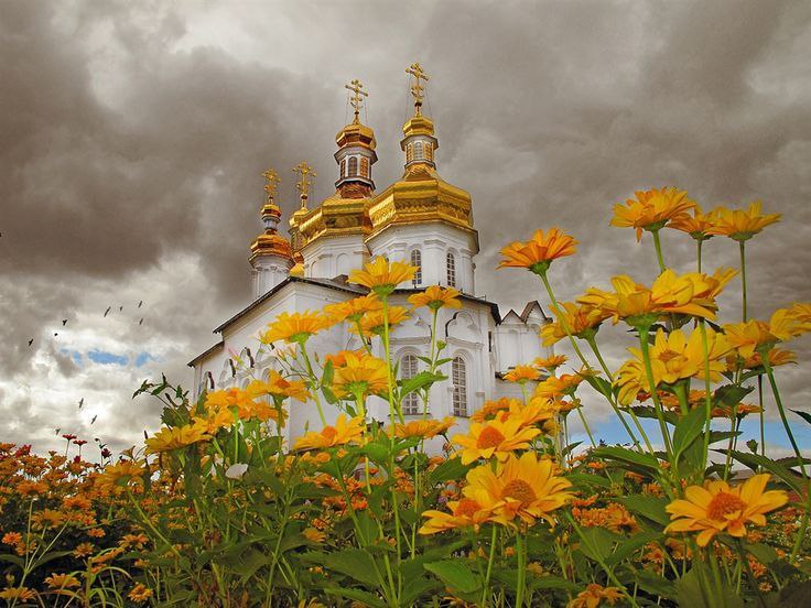 Заголовок